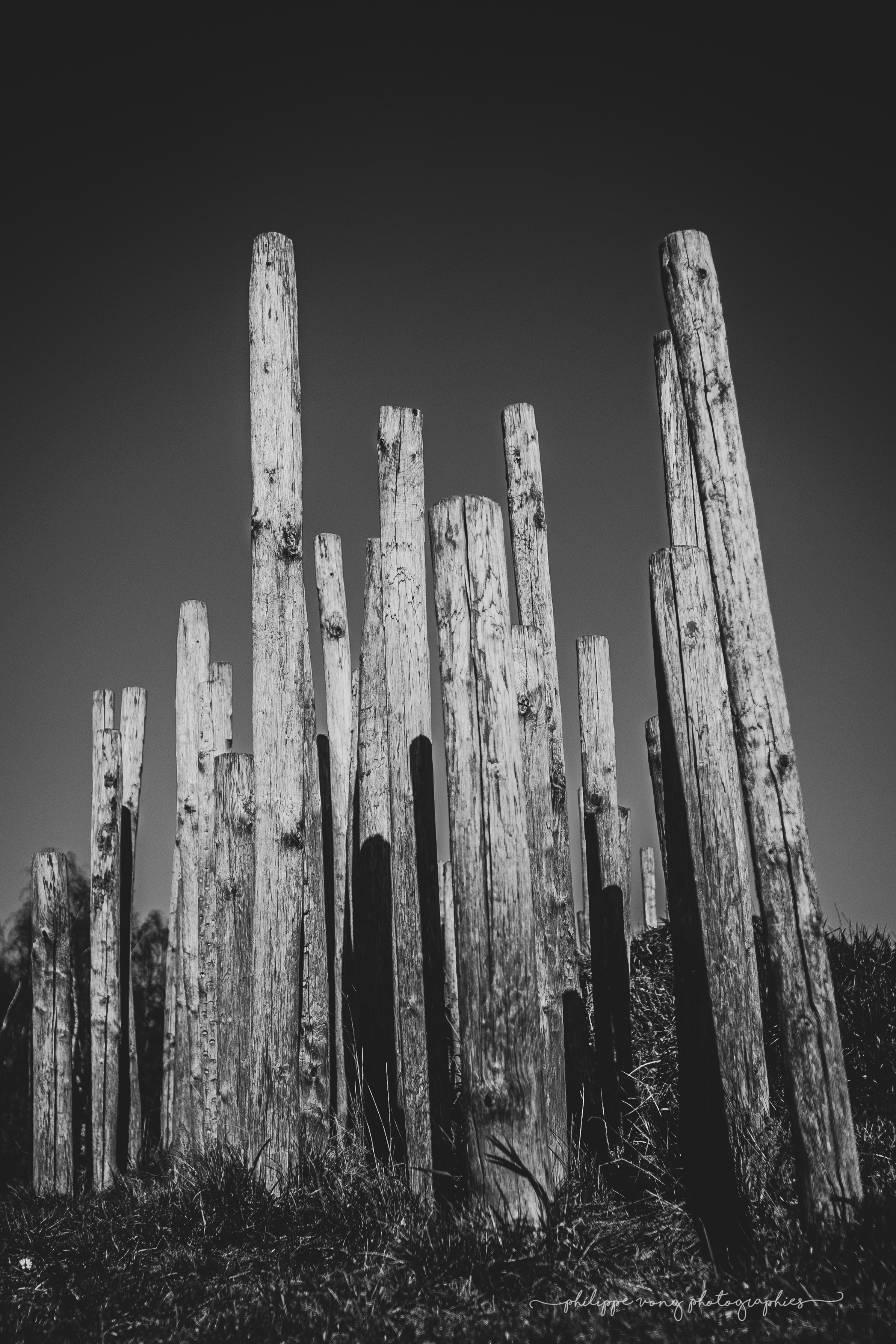 Sculpture Bois - Parc du Louvre Lens