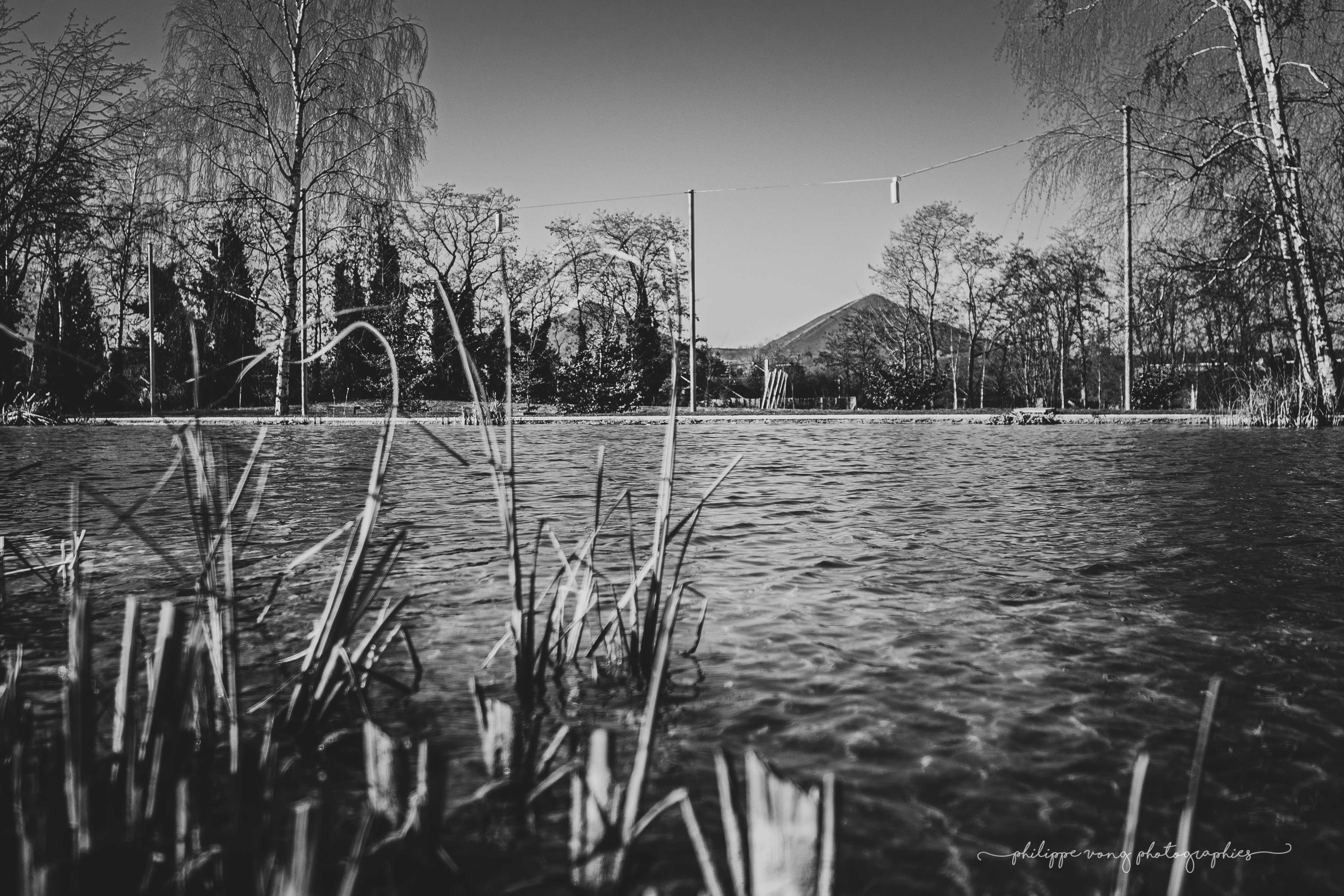 Lac - Parc du Louvre Lens